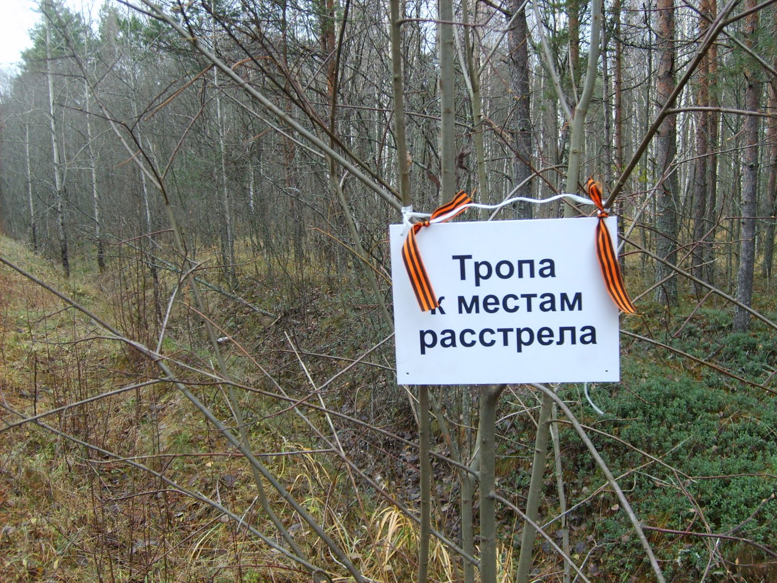 Схема ржевского полигона