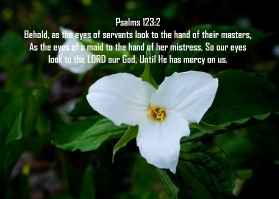 Bible Verses: Psalms 123:2