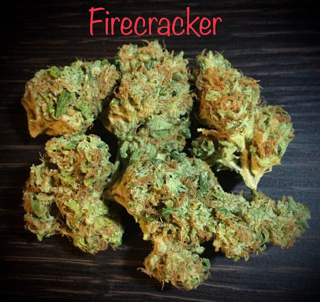 pennsylvania medical marijuana,grassroots,firecracker,grassroots firecracker,firecracker strain,pa medical marijuana