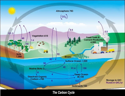 Emmagatzemar CO2 en sediments de mar profund