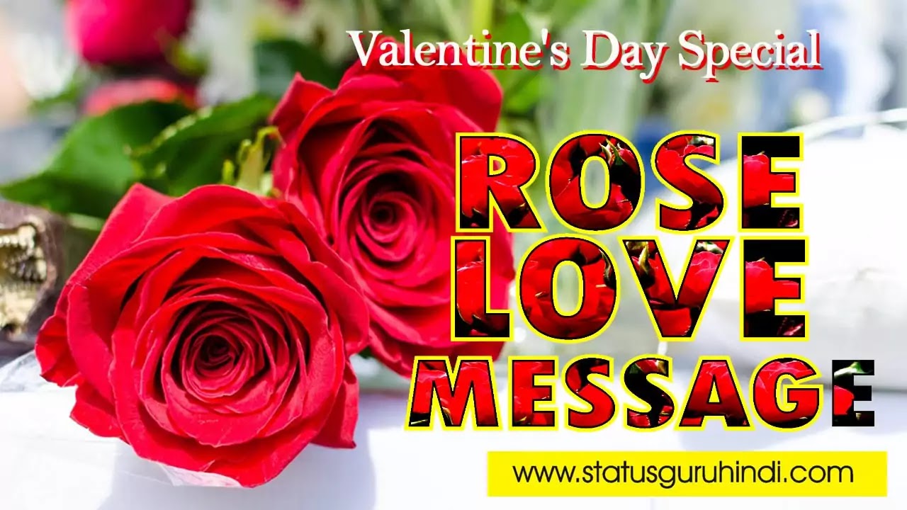 Red Rose Love Message | Status Guru Hindi - Status Guru Hindi