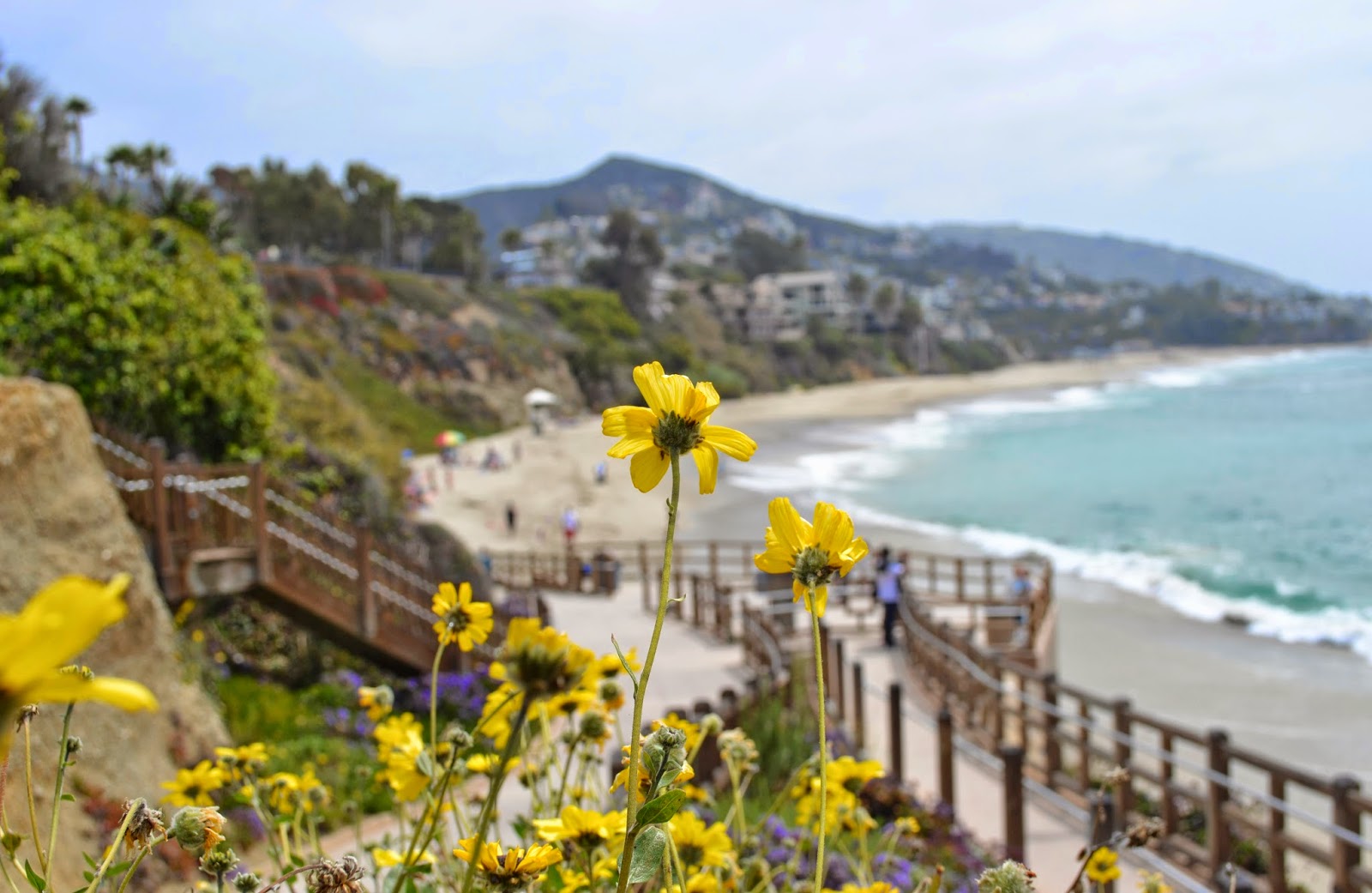 Fashion and beauty blogger Michelle Kehoe of Mash Elle shares the best locations for photoshoots in Laguna Beach, California Mash Elle beauty blogger travels to Laguna Beach | what to do in Laguna beach | California travel | trip to California | Laguna Hills