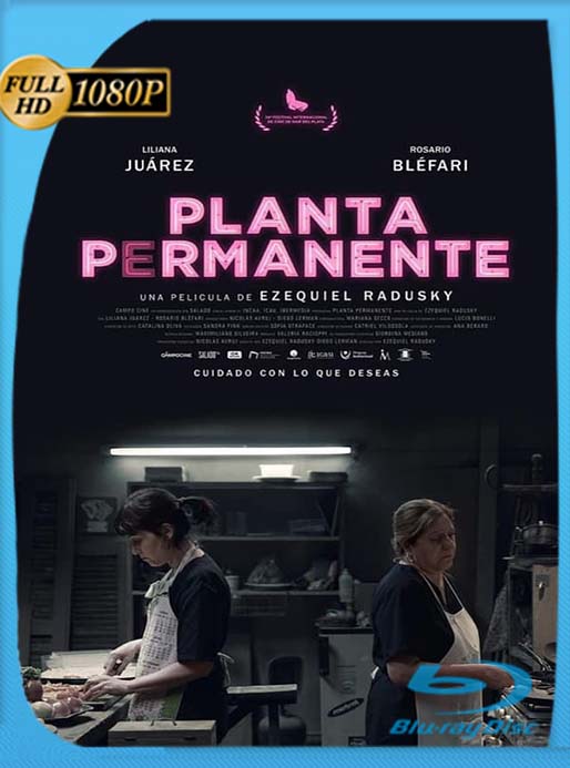 Planta Permanente (2019) HD 1080p Latino [GoogleDrive] [tomyly]
