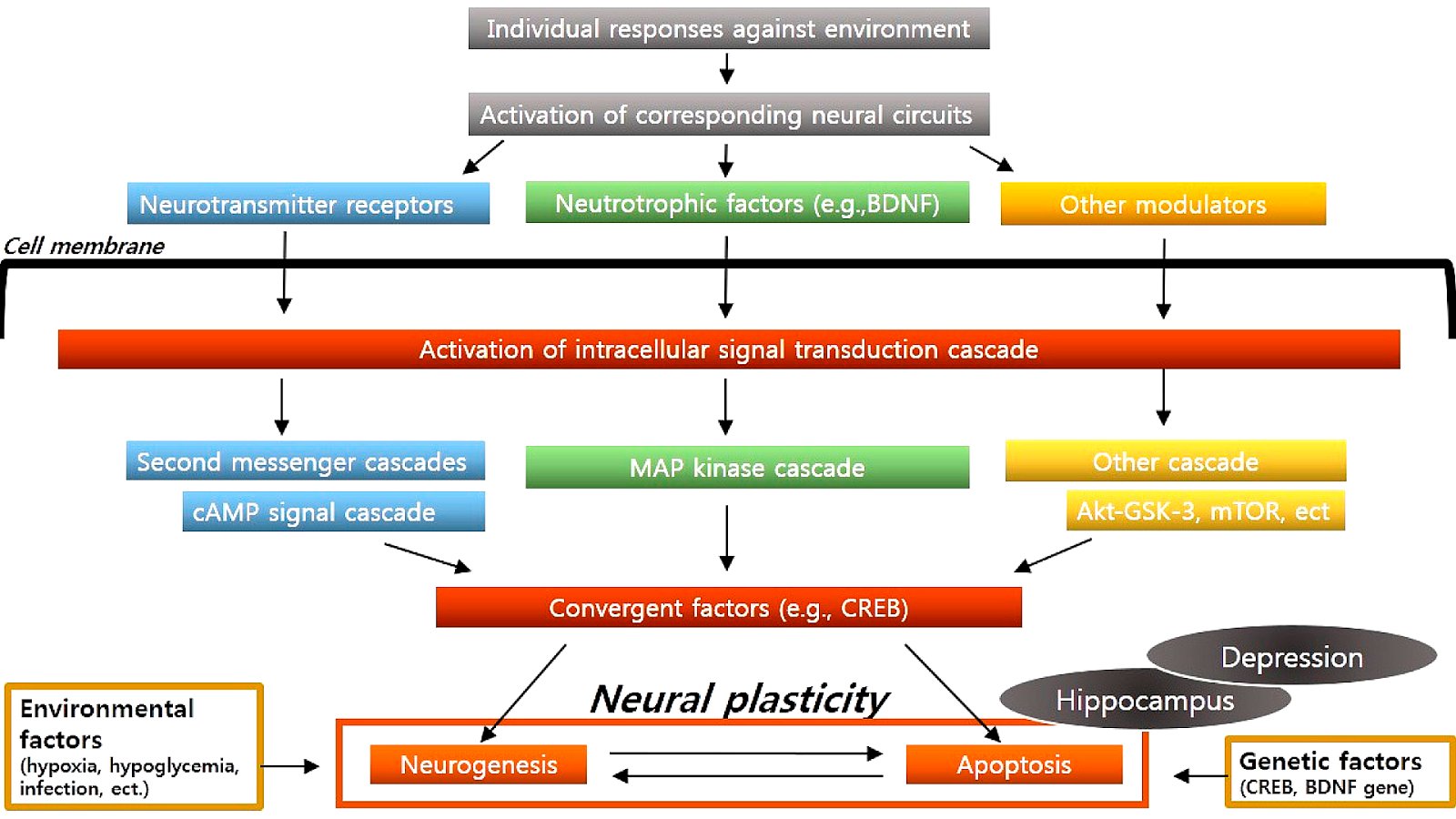 New Treatments For Depression Depression Choices