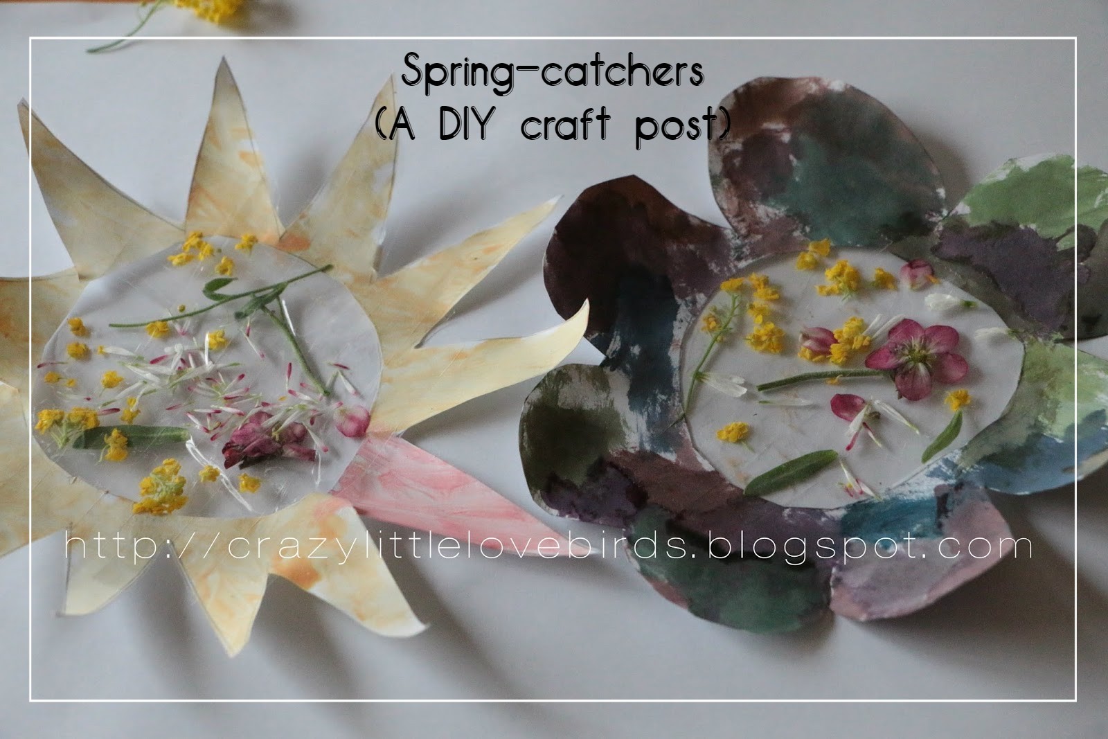 Crazylittlelovebirds: Spring-catchers..(A DIY craft post)