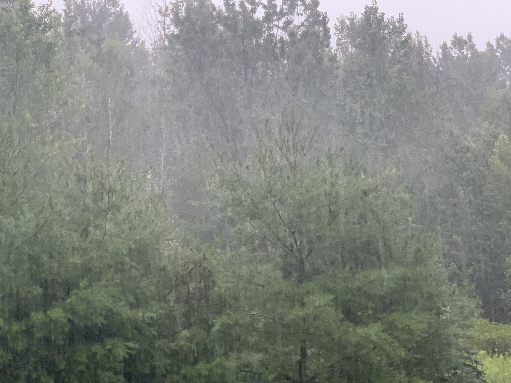 Matt's Weather Rapport "Cold" Vermont July Was The Old Normal; Awfully