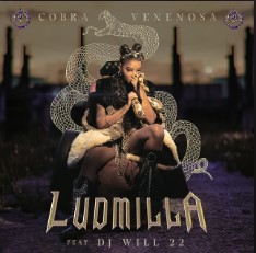 Baixar Música Cobra Venenosa - Ludmilla ft. DJ Will22 MP3