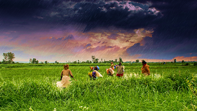 community farming community farming