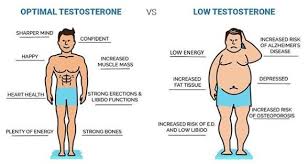 Infographics on Testosterone