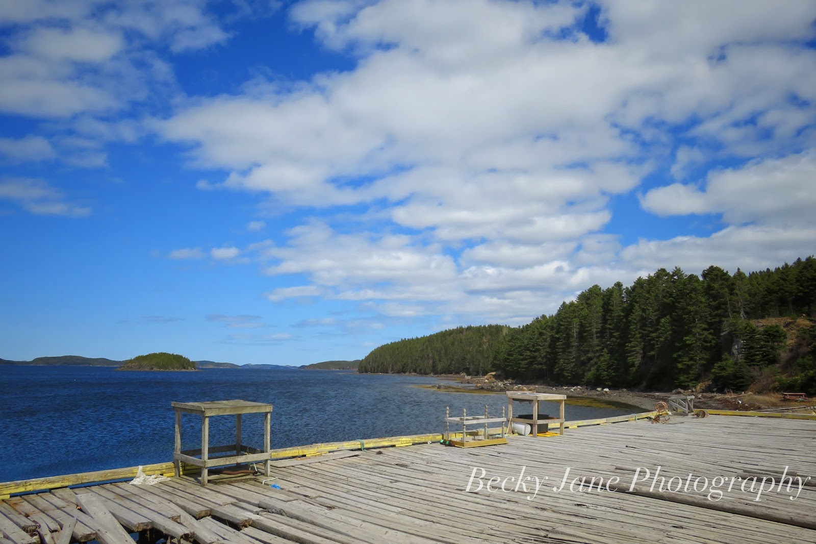 Becky Jane Photography Moreton’s Harbour