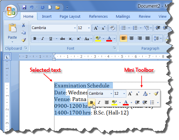 Mini Toolbar of MS Word 2007