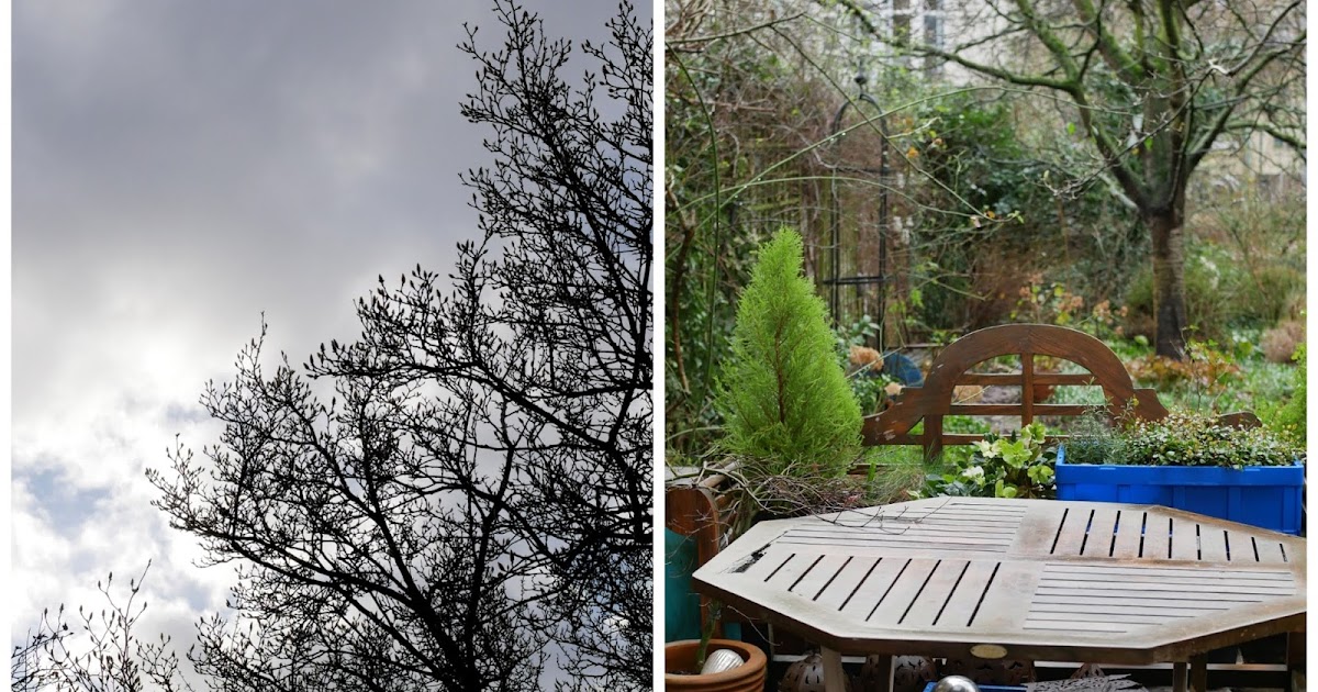 Unser Selbst Gemachtes Paradiesvogel Kostum Zuckersusse Apfel