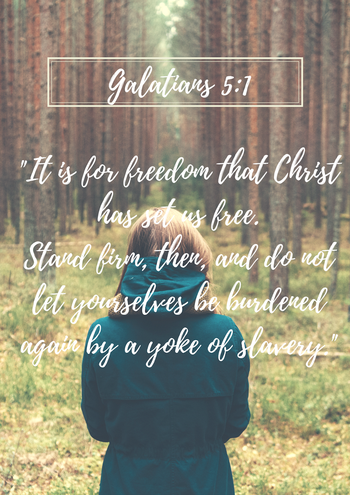 Celebrating our Freedom in Christ! {Galatians 5-6} - Women in the Word