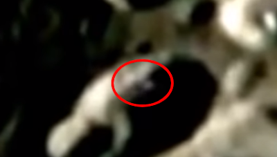 Lunar UFO is coming out the crater. Lunar UFO is coming out the crater.