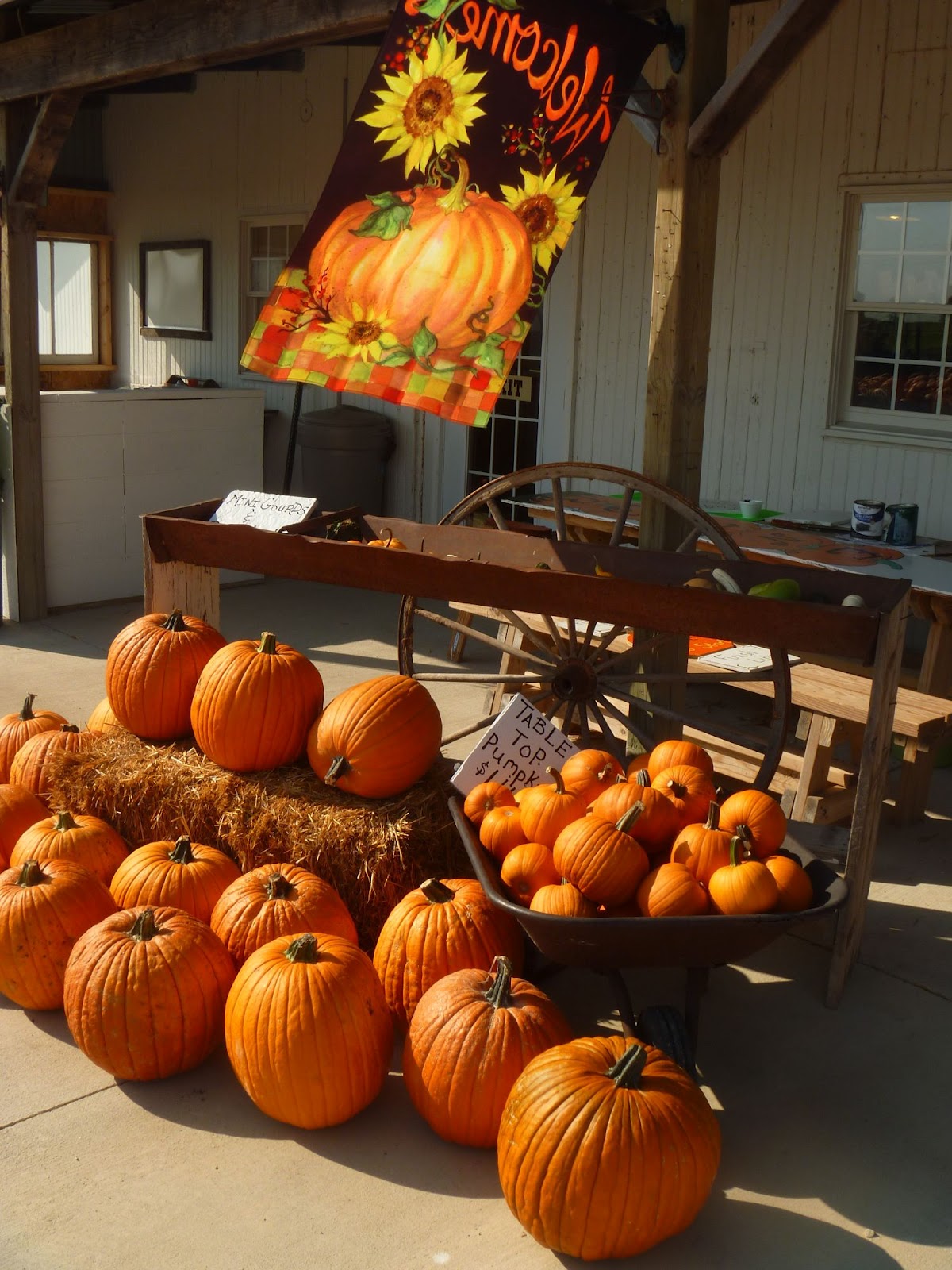 My Homemade Iowa Life Visit an Iowa pumpkin patch
