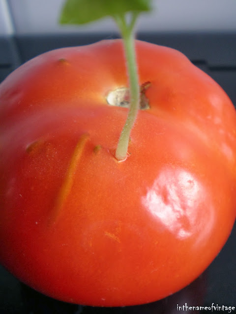 inthenameofvintage inthenameofvintage