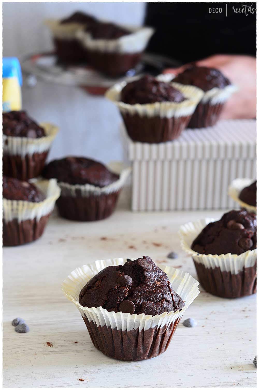 Muffins de chocolate caseros fáciles y rápidos receta de muffins