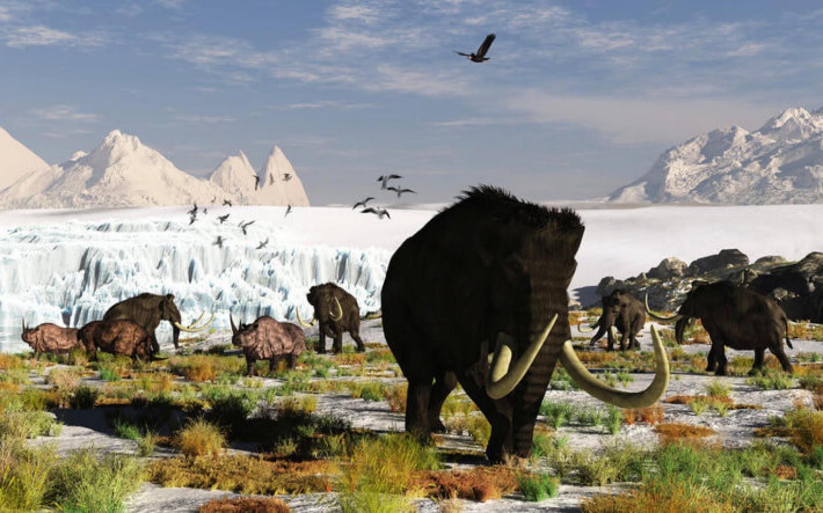 MEGACHIROTTERA Younger Dryas riavvolgi e ripeti