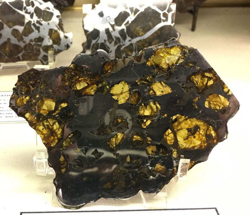 Louisville Fossils and Beyond Joshua Tree Earth and Space Museum