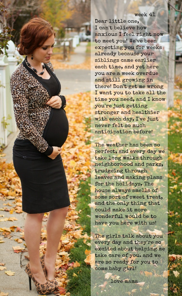 The Freckled Fox Lydia S Maternity Series