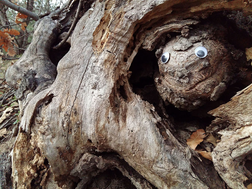 Guy Puts Googly Eyes On Broken Street Objects And The Result Is Hilarious