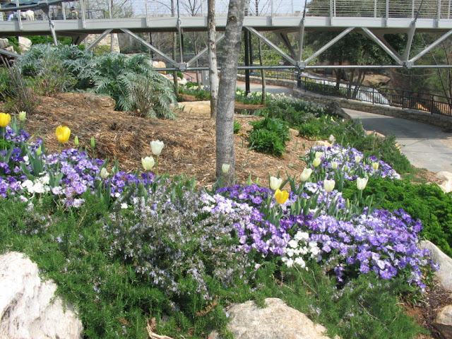 Gardens in  Falls Park, Greenville County SC