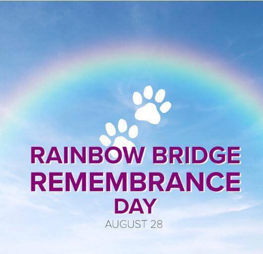 Rainbow Bridge Remembrance Day Rainbow Bridge Remembrance Day