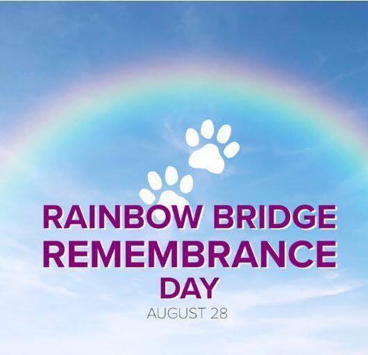 Rainbow Bridge Remembrance Day