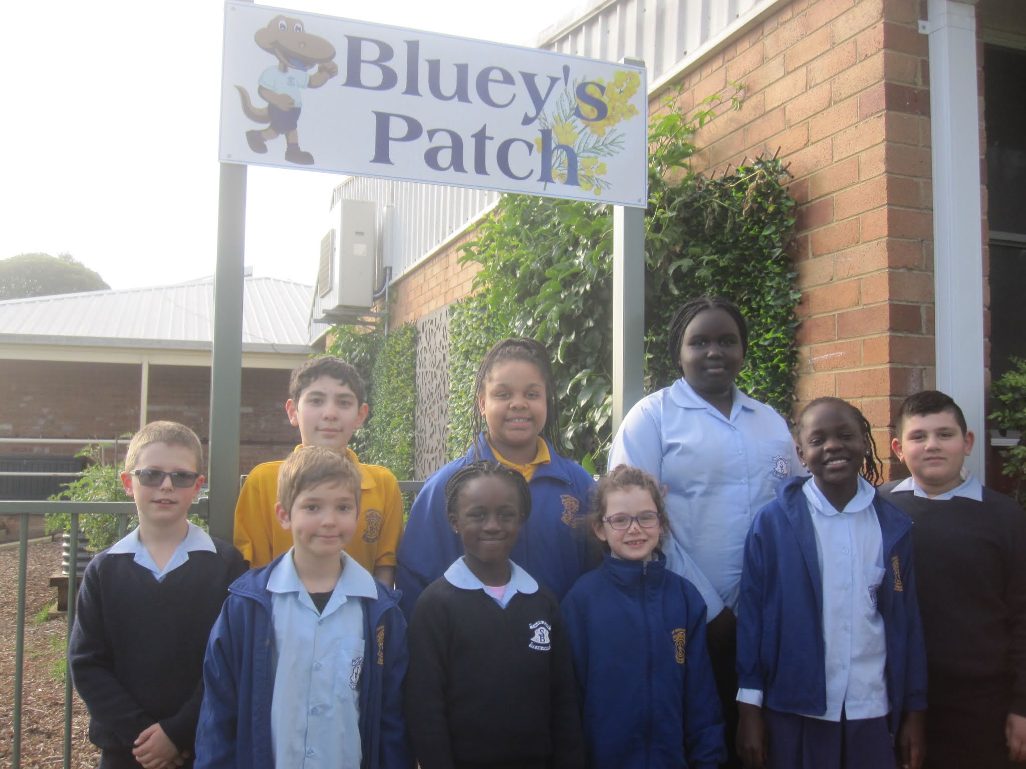 Kitchen Gardens in Schools