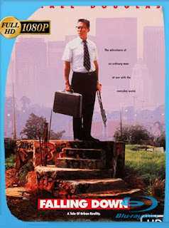 Un Dia De Furia (1993) HD [1080p] Latino [GoogleDrive] SXGO