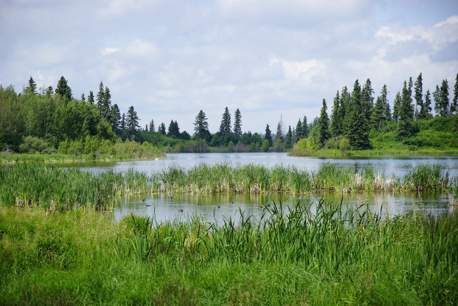 14 Fun Things to Do at Elk Island National Park, Alberta Play Outside
