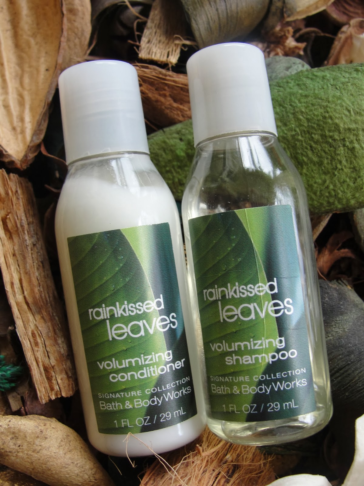 Bath & Body Works rainkissed leaves Review