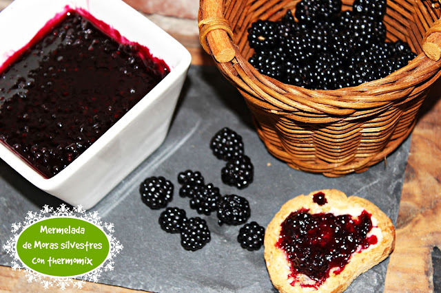 MORAS SILVESTRES CON THERMOMIX CASERA Y MUY RICA