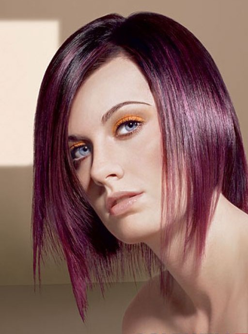 http://1.bp.blogspot.com/-0sWgR2HuZ8M/TcJzHn-aaqI/AAAAAAAAAMU/g5jN_hShOjY/s1600/coloration-cheveux-prune.jpg