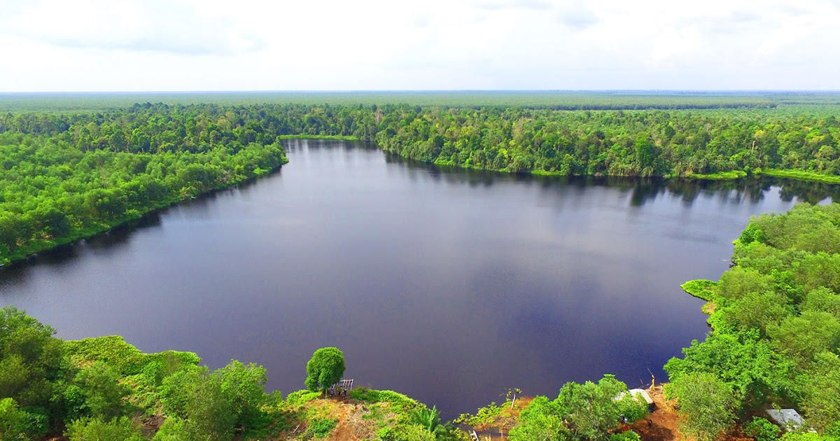 Menelusuri Wisata Khas Hutan Rawa Gambut di Kabupaten Siak Provinsi