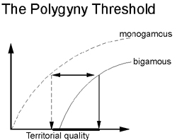 Animalia: Polygyny Threshold