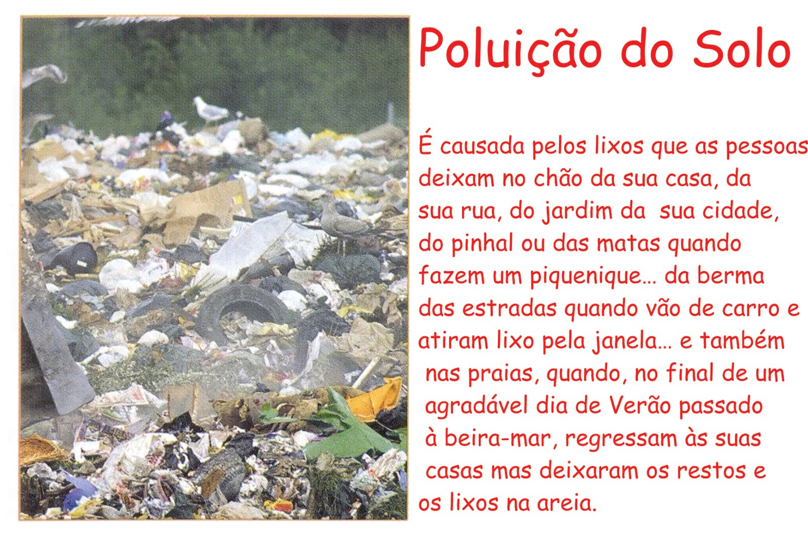 Biologia Poluição do solo