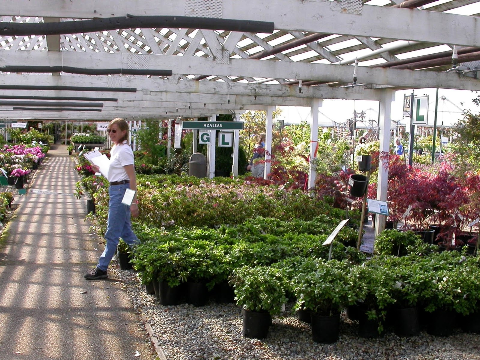 WSDA AgBriefs Outreach campaign to show value of nursery endorsement