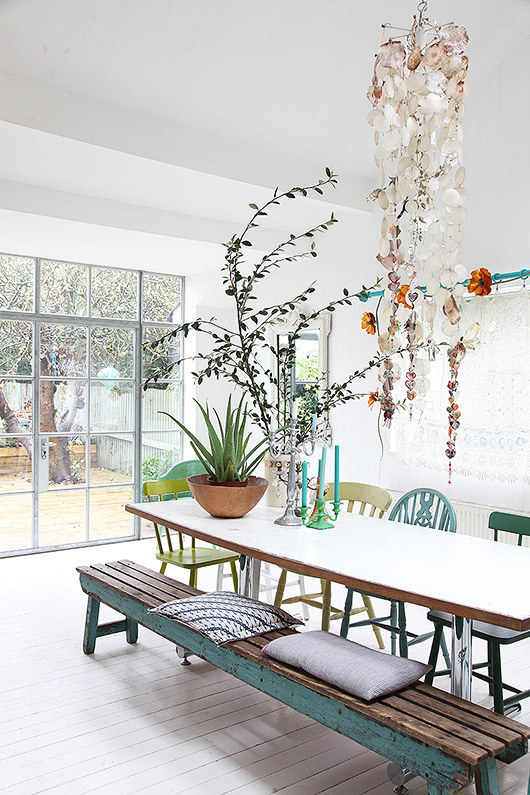 10 Meilleures Images Du Tableau Plante Grimpante Ombre Plante