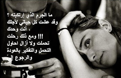 shof_b68d118964c6537