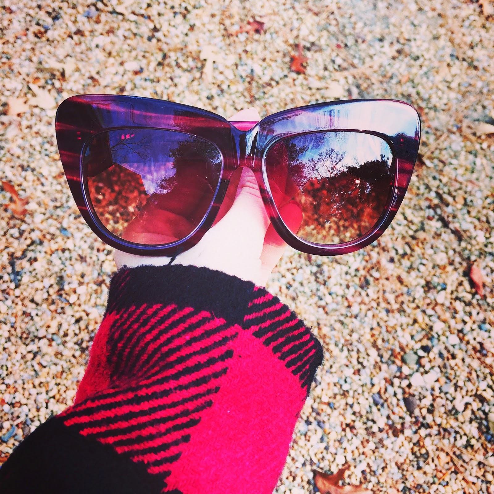 Sunglasses of the Day: House of Harlow 1960