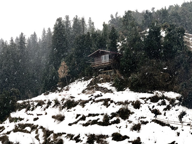 binsar in winter