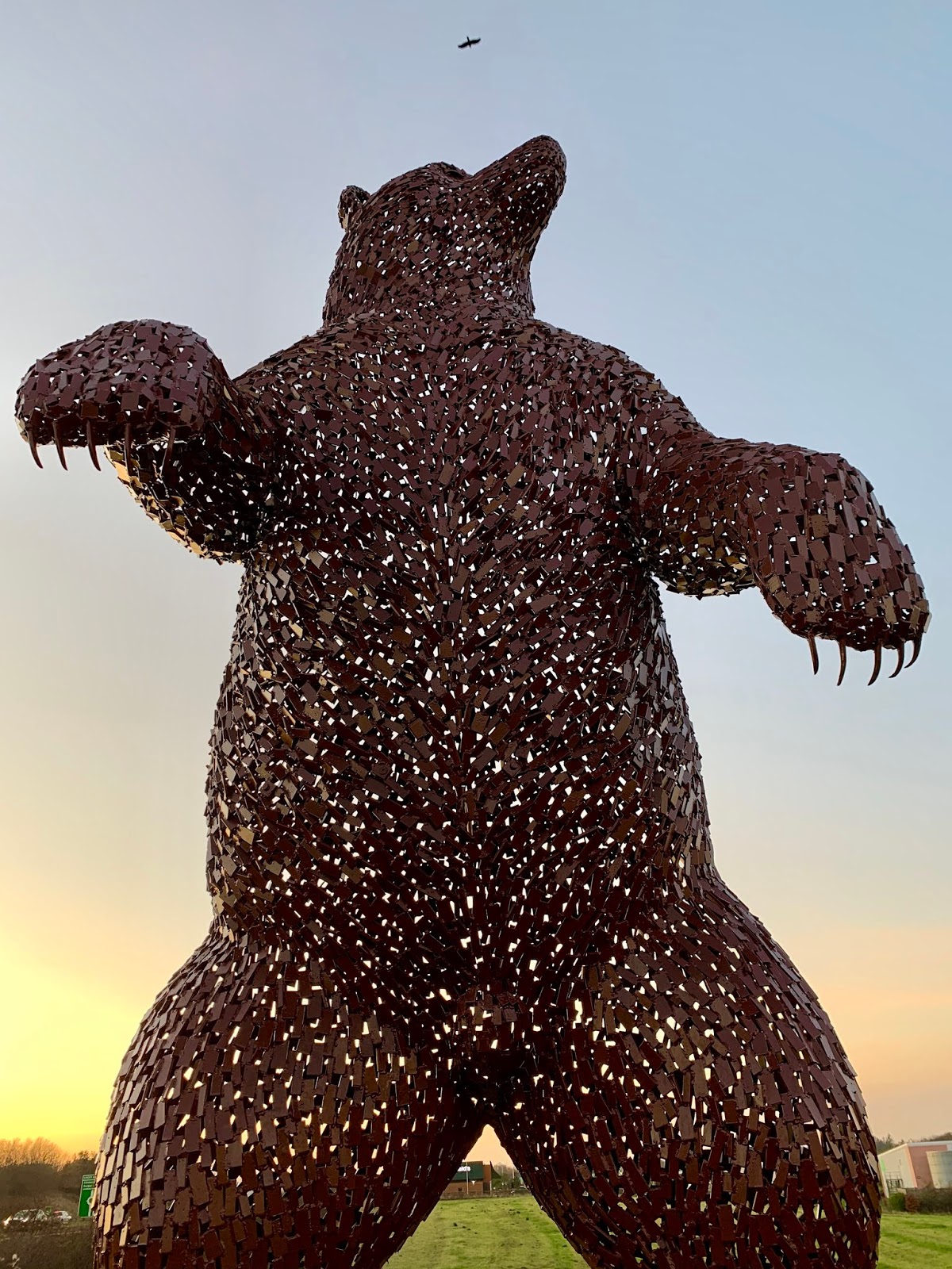 Chamfron Stud Dunbar Bear