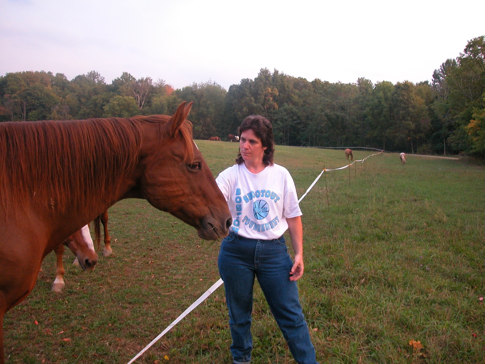 Horse Journal Roseland Ranch Herd 2003