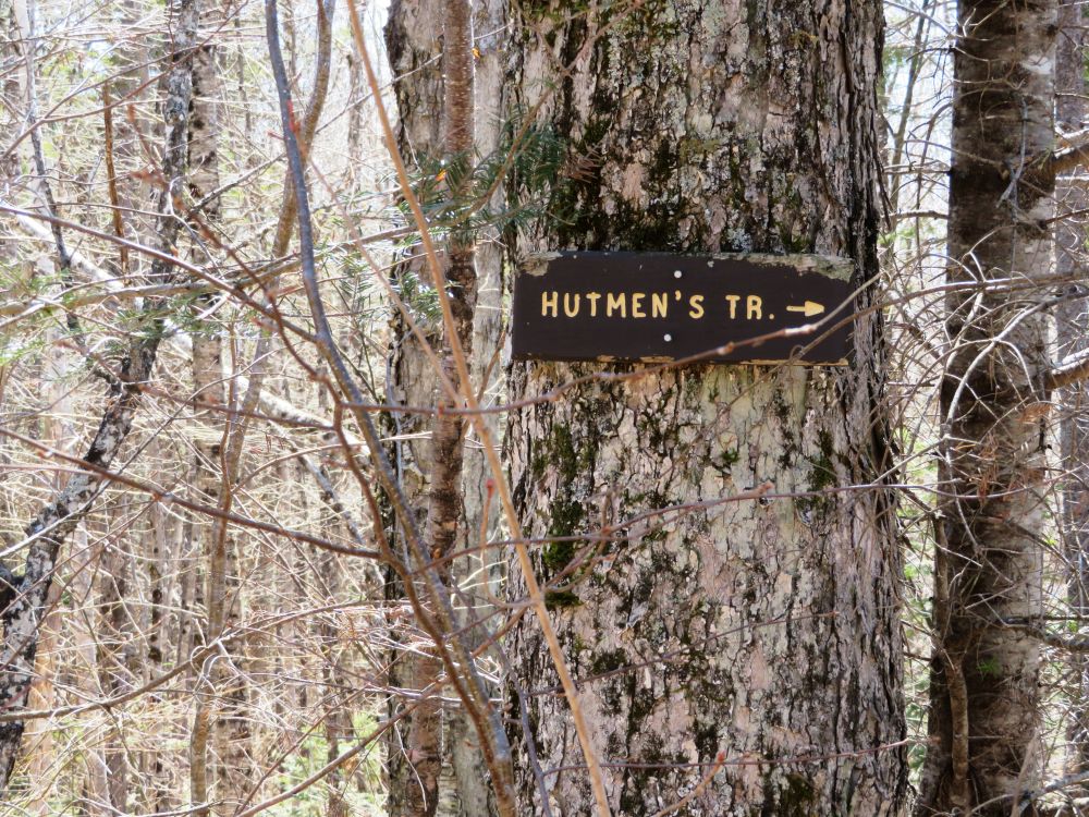 Outdoor Diversion Hall's Ledge Trail and Hutmen's Trail Loop Hike
