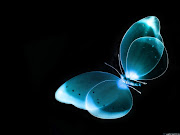 Blue Butterfly BlackBlue Wallpaper hd (blue butterfly black blue hd desktop wallpaper)