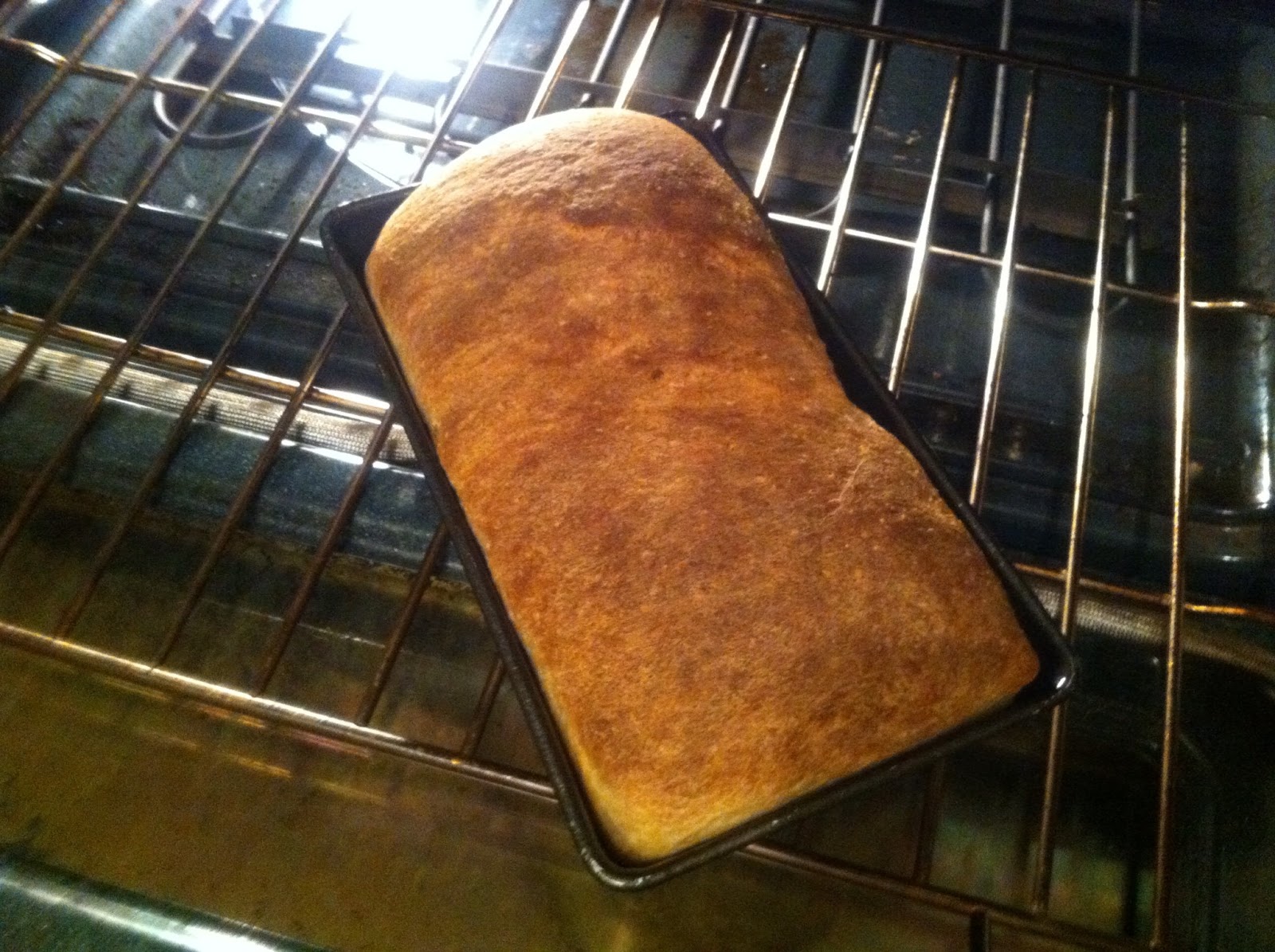 megbakes Maple Whole Wheat Bread