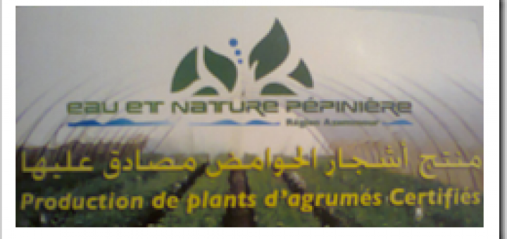 Eau et Nature Pépinière – Une pépinière Marocaine