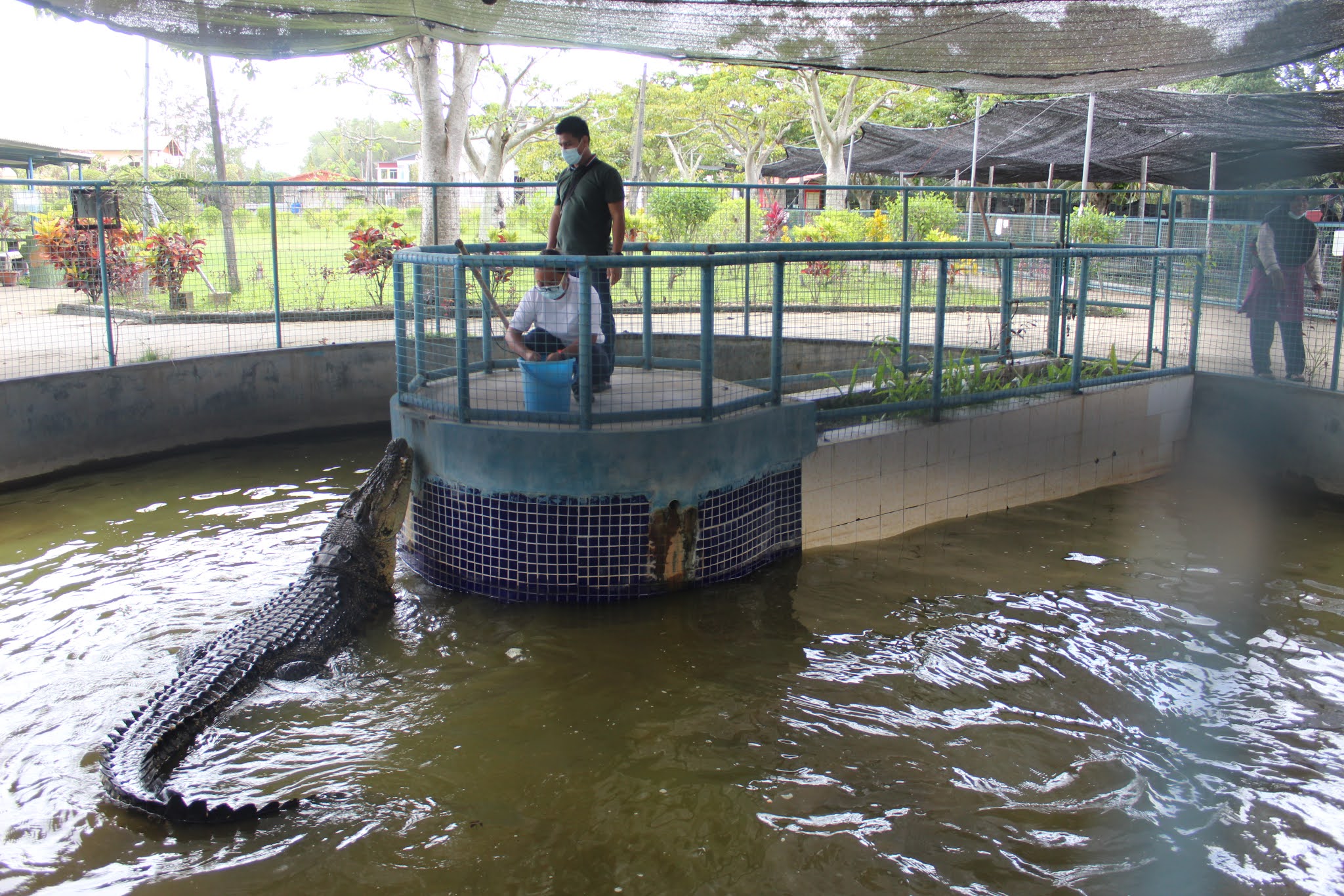 Taman buaya tuaran