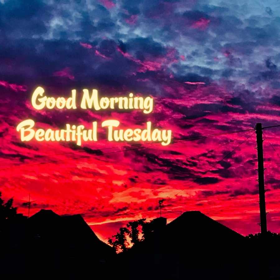 good morning happy tuesday funny